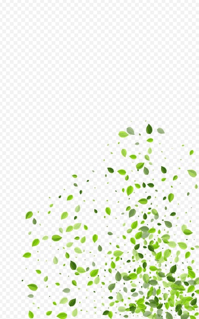 Grassy Leaf Blur Vector Transparent Background. Organic Foliage Wallpaper. Forest Greens Wind Branch. Leaves Realistic Design.