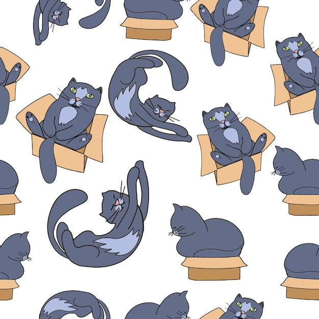 Gray cat in different funny poses. The cat plays with threads.