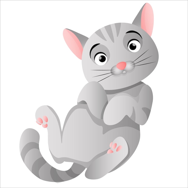 The gray cat lies on its back with its paws clenched