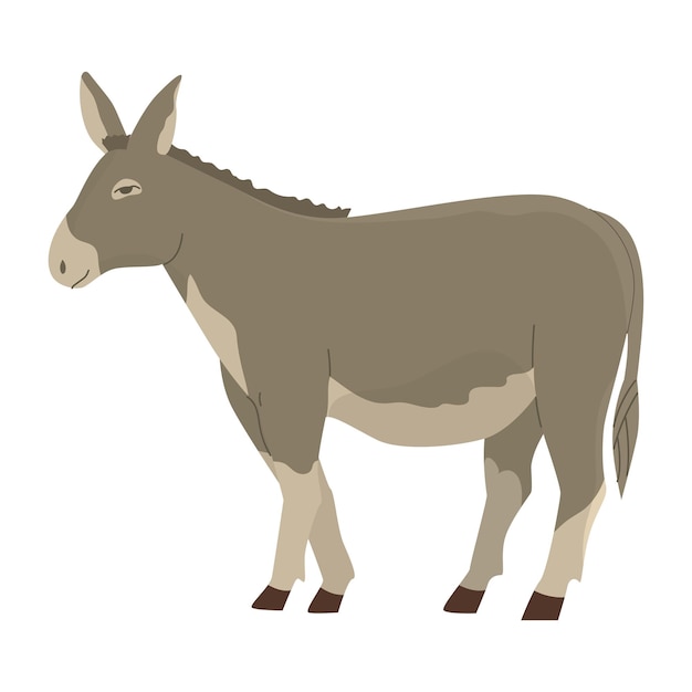 Vector gray donkey draft animal livestock farm pets household vector illustration isolated object on white background