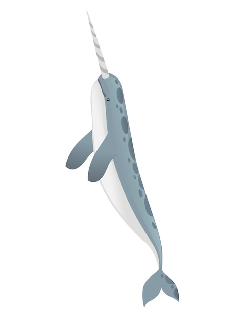 Gray narwhal(Monodon monoceros) toothed whale with tusk cartoon sea character design flat vector illustration isolated on white background.