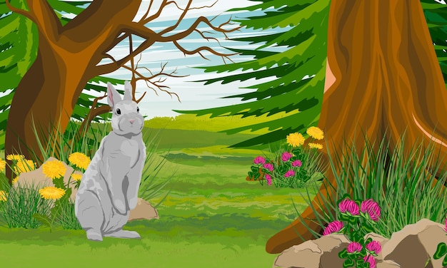 A gray rabbit stands at the edge of a mixed forest with clover and dandelion wildflowers