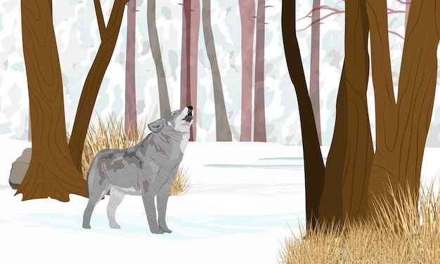 Gray wolf in winter forest The wolf howls with its head up Winter realistic vector landscape