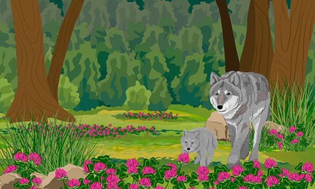 Gray wolf and wolf cub in the forest Dark forest with tall trees and clover flowers