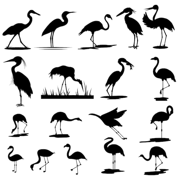 Great heron bird vector Majestic Great Heron Vector Illustration EPS Design for Graceful Birds