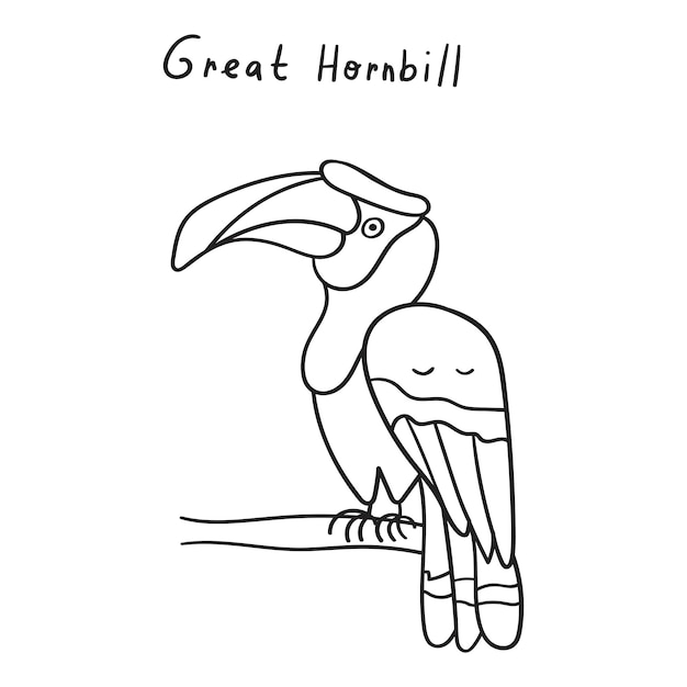 Great Hornbill sits on a branch. Vector outline illustration on white background.