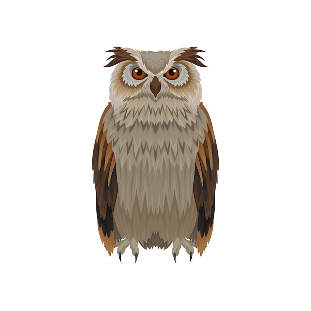 Vector great horned owl with brown plumage front view large forest bird ornithology and fauna theme flat