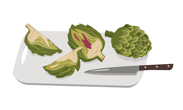 Green artichoke cut into pieces on board and knife. Whole and partial healthy vegetables and leaves, harvesting. Delicious food for salad and cooking. Vector flat illustration