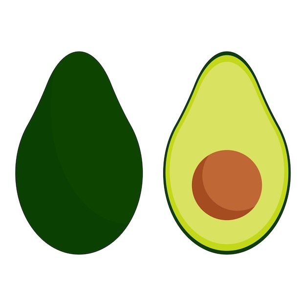 Green avocado for healthy eating. whole, slice and halved avocado with bone. Vector illustration.