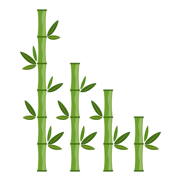 Green bamboo branches and leaves. Vector illustration. Bamboo stems. Bamboo icon.