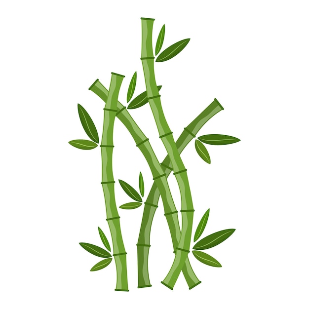 Green bamboo branches and leaves. Vector illustration. Bamboo stems. Bamboo icon.