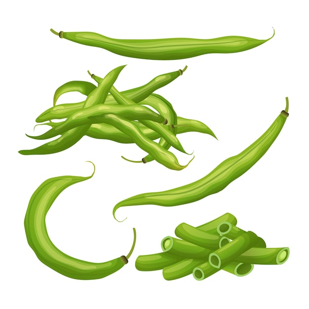 Green bean set cartoon vector illustration