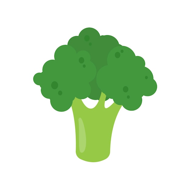 Green broccoli healthy vegetables for kids