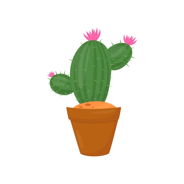 Green cactus in brown pot Plant with little pink flowers and spines Indoor gardening Flat vector element of home decoration