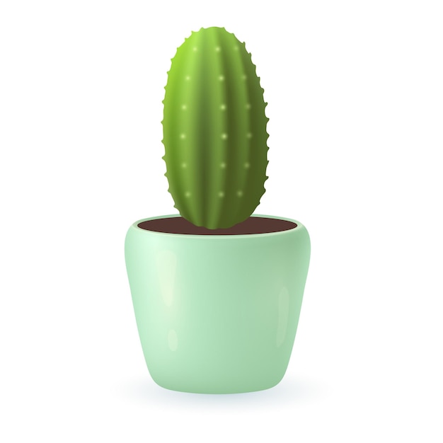 Green cactus plant of oval shape in mint pot 3D illustration