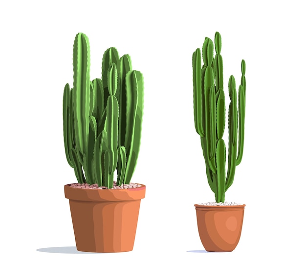 Green cactus in a pot. Houseplants. Vector illustration isolated on white background