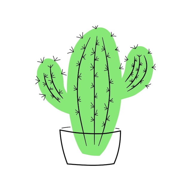 Green cactus in a pot