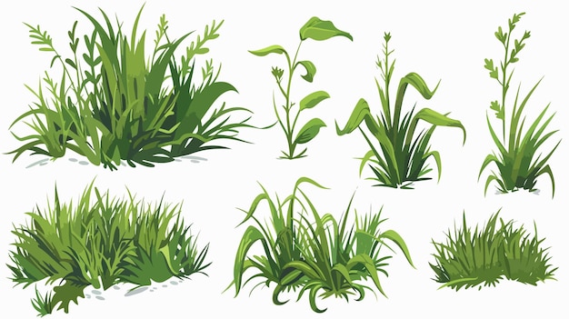 Green Cartoon Grass Bunches Clusters Elements