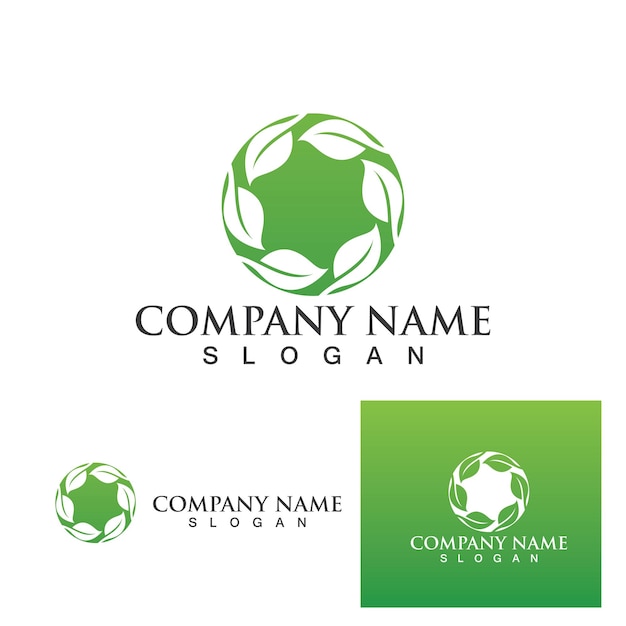 Green Clover Leaf Logo Template Design