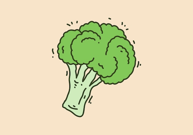 Green color design of the broccoli