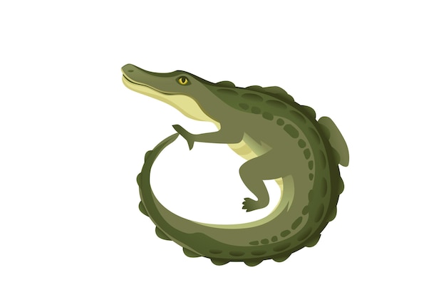 Green crocodile character big carnivore reptile cartoon animal design flat vector illustration isolated on white background