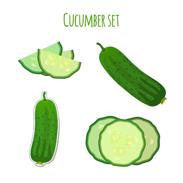 Green cucumber set. Farm vegetable