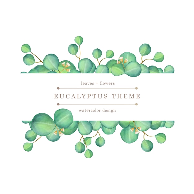 green eucalyptus watercolor illustration