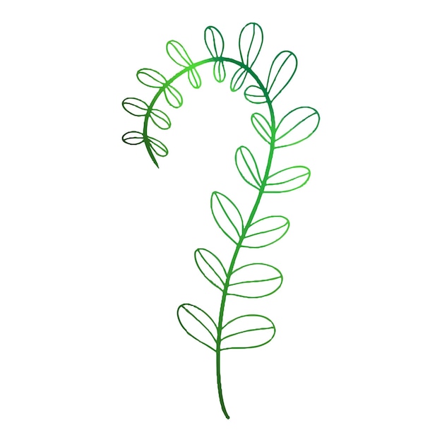 Green fern leaf in doodle style Vector