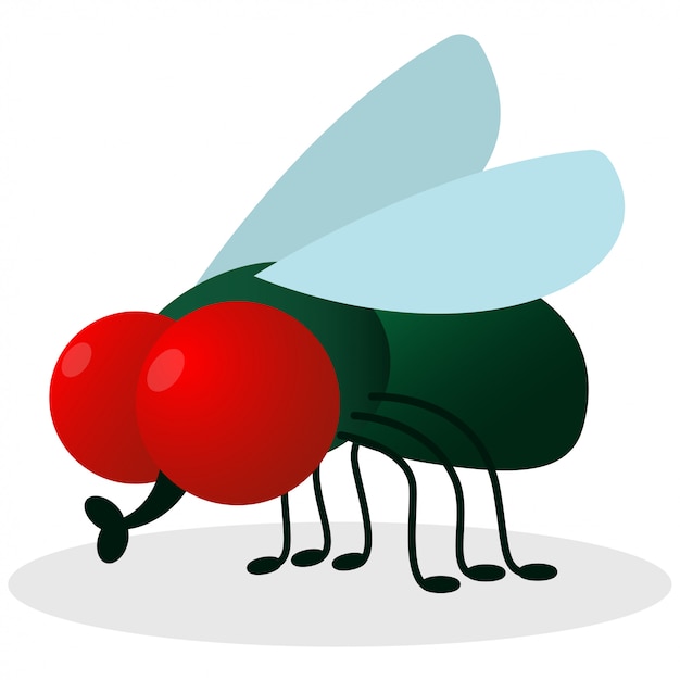 Green fly vector illustration