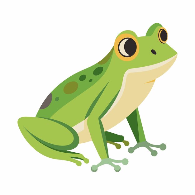 Vector a green frog with a yellow eye and a black eye and a white background