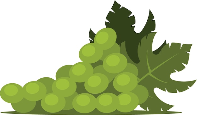 Green Grape Vector Clip Art Food Illustration