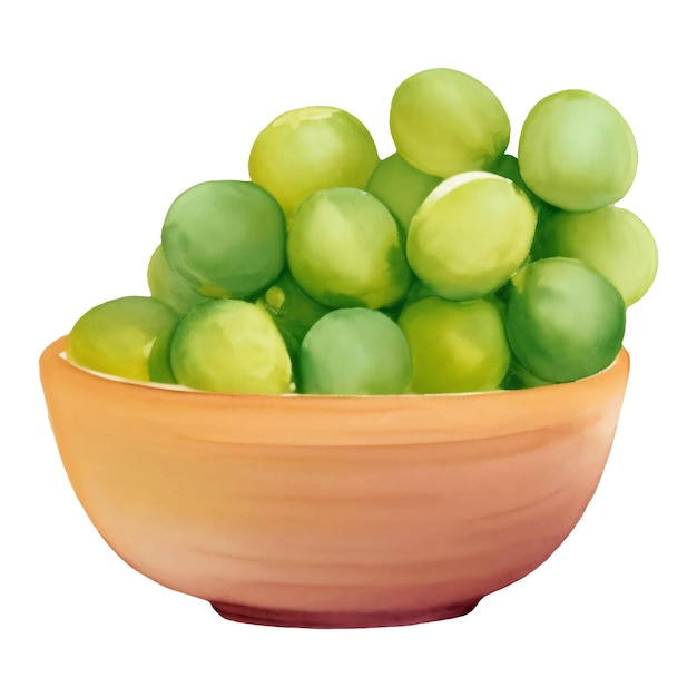 Green Grapes on Wooden Bowl Isolated Hand Drawn Painting Illustration