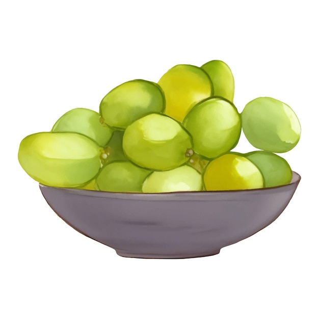 Green Grapes on Wooden Bowl Isolated Hand Drawn Painting Illustration