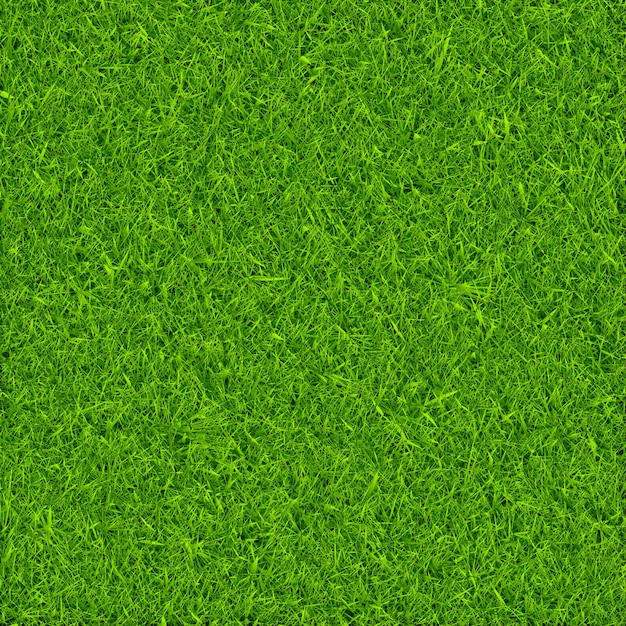 Green grass background vector