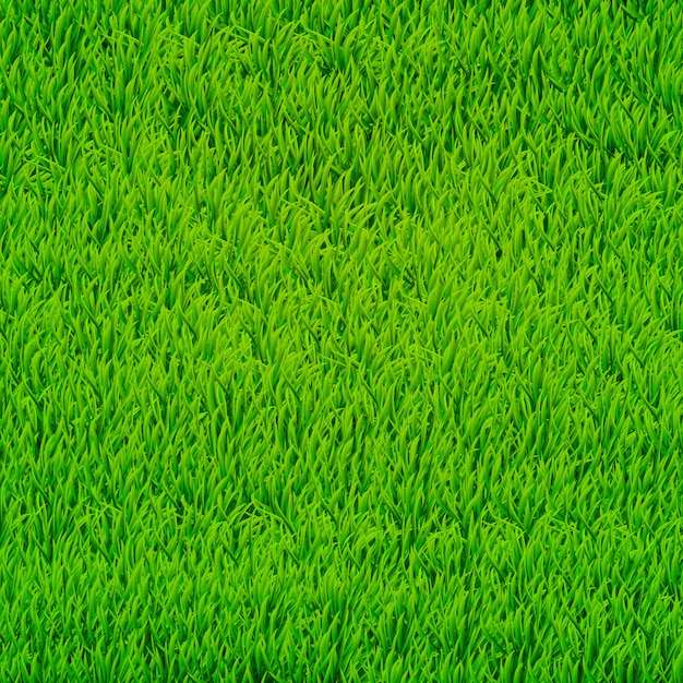 Green grass  background