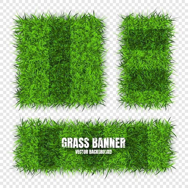 Green grass banners background Field meadow texture grassy landscape Football playing pitch soccer field Sports ground stadium Ecology and environment protection Vector illustration