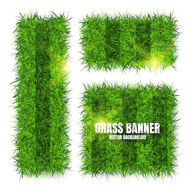 Vector green grass banners background field meadow texture grassy landscape football playing pitch soccer