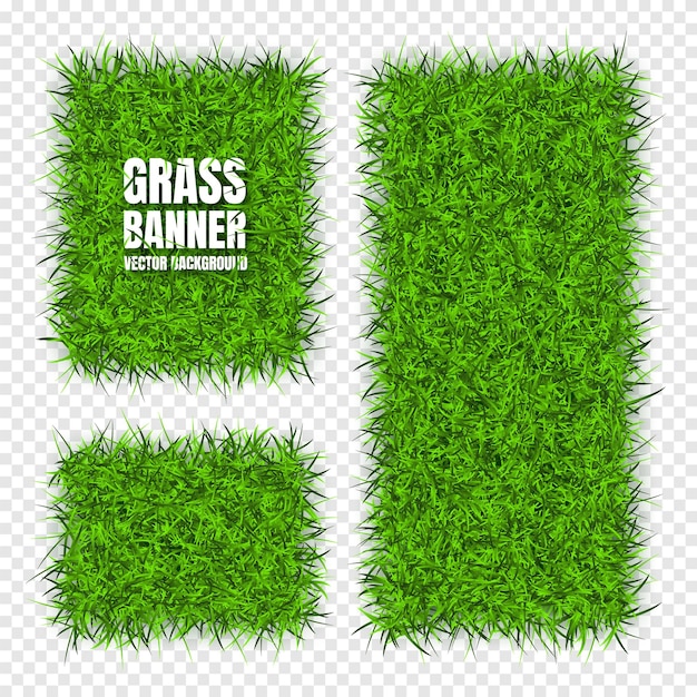 Green grass banners background Field meadow texture grassy landscape Organic bio eco and natural lifestyle design elements Ecology and environment protection Vector illustration