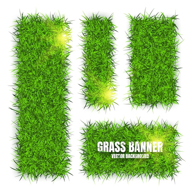 Green grass banners background field meadow texture grassy landscape organic bio eco and natural