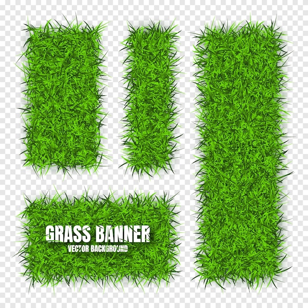 Vector green grass banners background field meadow texture grassy landscape organic bio eco and natural