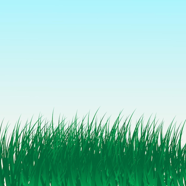 Green grass and blue sky