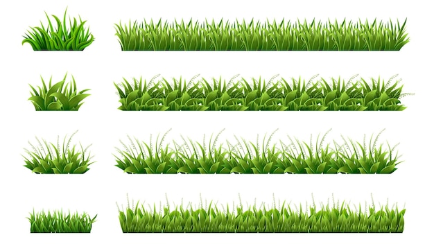 Green grass border. Landscaped lawns, meadows clipart. Isolated organic lawn shapes, leaves and garden elements. Realistic spring summer nature illustration. Organic eco foliage, field natural