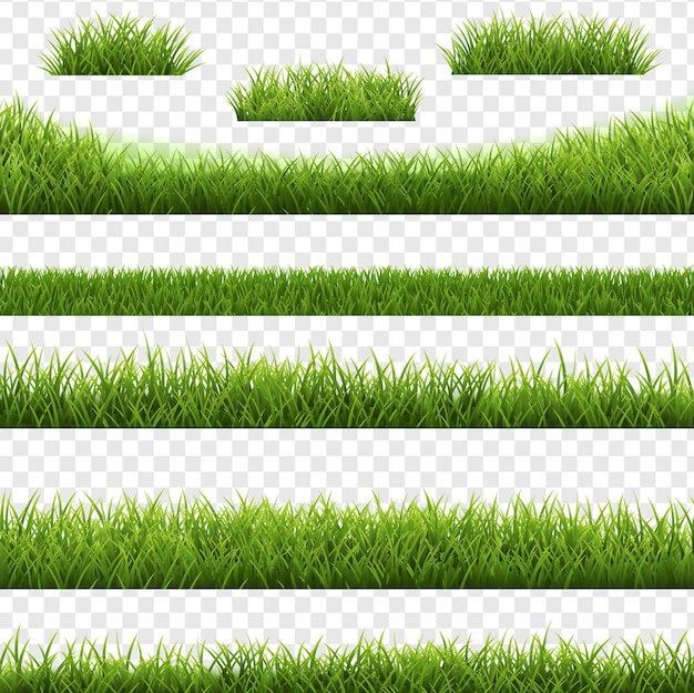 Green Grass Border Transparent background