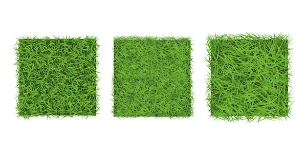 Green grass border on white background top view Background square texture of ground surface