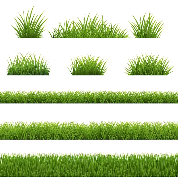 Green Grass Border With White Background