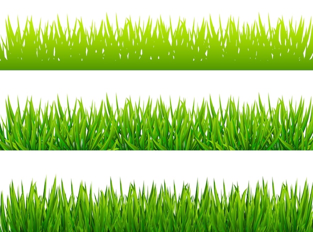 Green grass borfers on white background