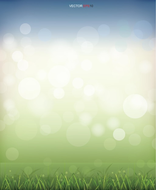 Vector green grass field with light blurred bokeh background. vector illustration.