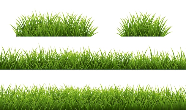 Green Grass Frame Set Isolated White Background