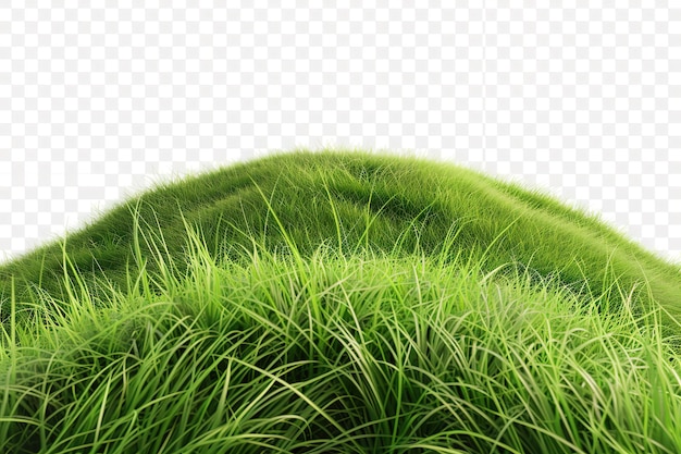 Green grass growing on hills with white background top view