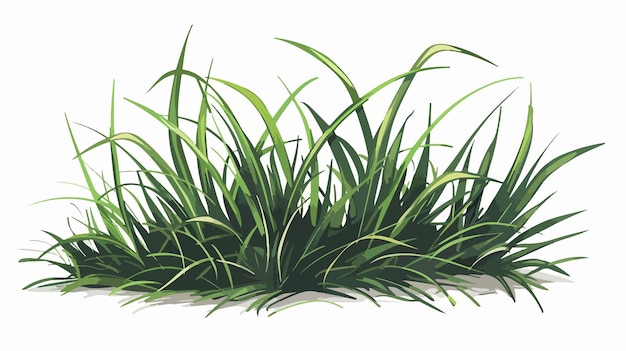 Vector green grass icon vector illustration handdrawn